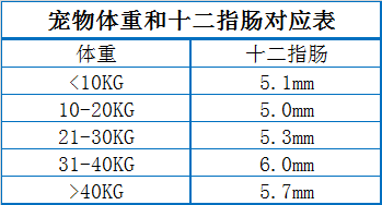 宠物十二指肠关系表