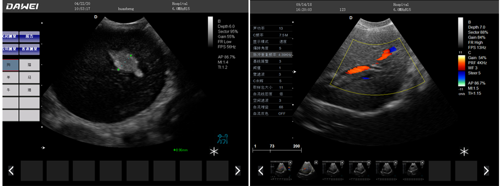 L3-VET宠物店兽用彩超机的详细图