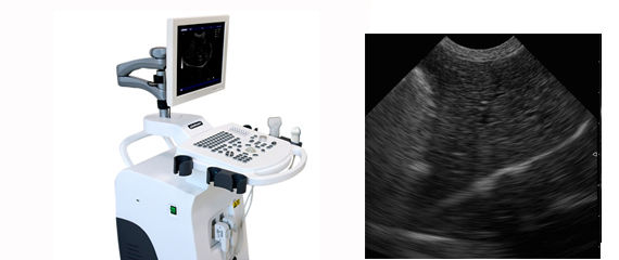 猫兽用b超机产品详情