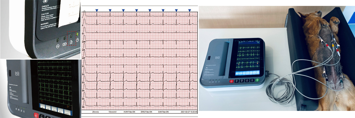 DE12 VET宠物心电图机的详细图