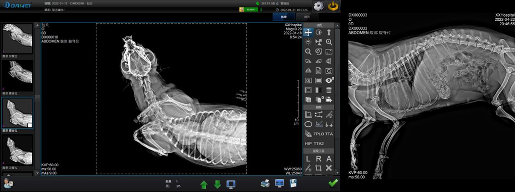 RV-20A动物数字化X射线摄影系统(DR)的详细图
