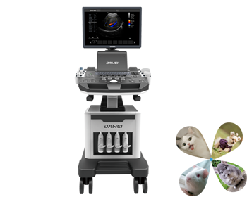 动物诊所彩超机案例