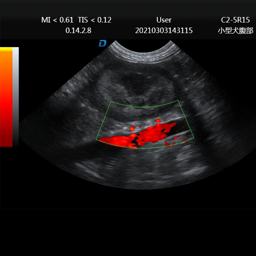 兽用彩超机图像