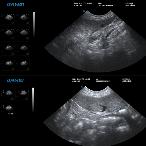 宠物彩超机图像
