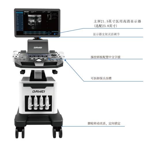 宠物彩超设备